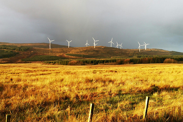 The comprehensive guide to renewable energy